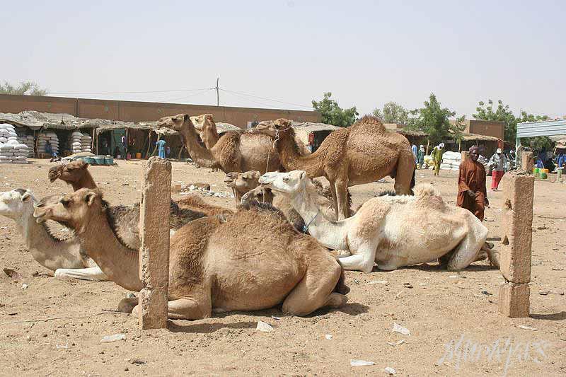 Mud Maps Africa Agadez 3117